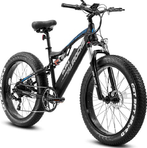 Buy eAhora RURUI XT10 Electric Bike for Adult 750W 15AH Snow Beach ...