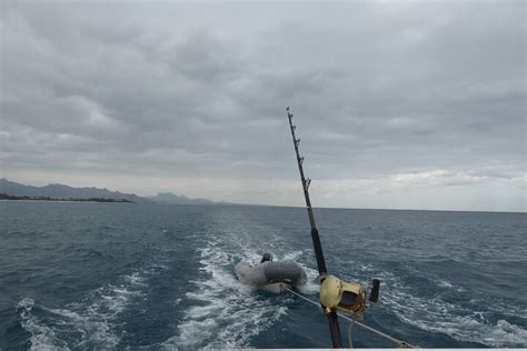 KIDAN TOUR OPERATOR (2026) All You Need to Know BEFORE You Go (w ...