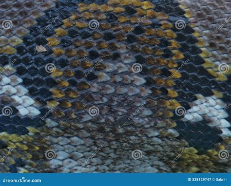 Python Texture 的图像结果