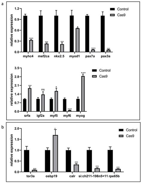 Systematic Identification of Long Noncoding RNAs during Three Key ...