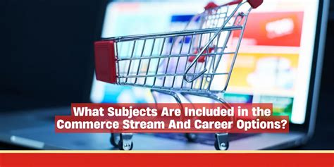 What Subjects Are Included in the Commerce Stream And Career Options ...