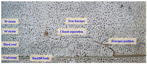 Deformation Behavior of Hard Roofs in Solid Backfill Coal Mining Using ...