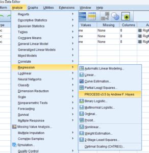 Image result for How to Draw Graph of Moderation From Process Macro