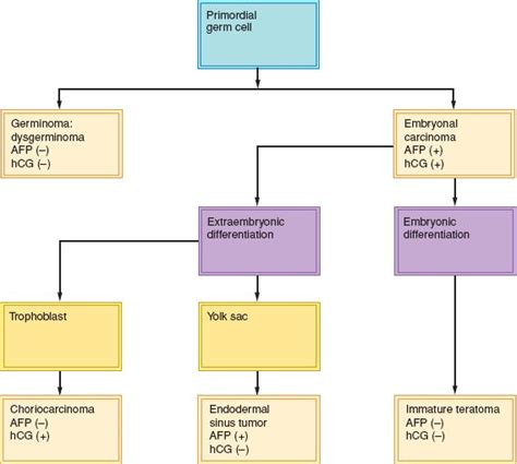 Image result for Computer Science Flowchart Class