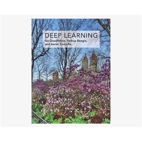 Image result for Deep Learning Goodfellow