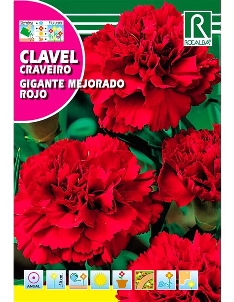 Clavel En Ingles at Hayley Forster blog