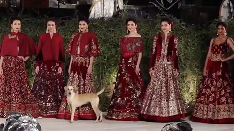 A stray dog stole showstoppers Sidharth Malhotra and Diana Penty’s ...