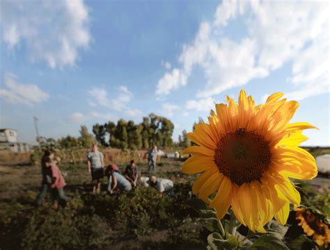 Strategies in Action