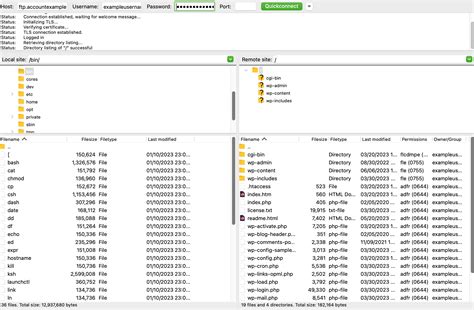 Image result for Secure FTP FileZilla