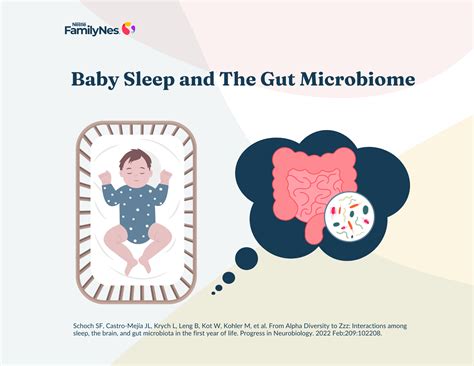 Does Gut Health Affect Baby Sleep? What Parents Should Know | FamilyNes