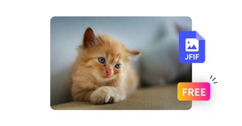 Convert Jfif File to JPEG File Free 的图像结果