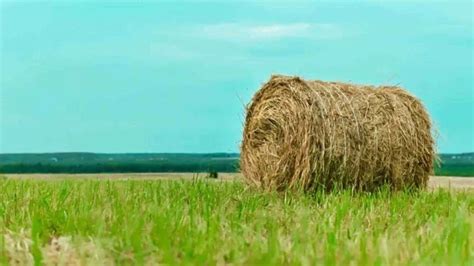 ரூ.1 கோடி நில விற்பனைக்கு ரூ.2.45 லட்சம் மட்டுமே வருமானம் காட்டிய நபர் ...