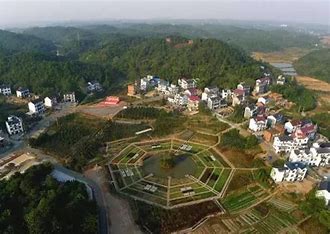 衢州柯城区seo 的图像结果