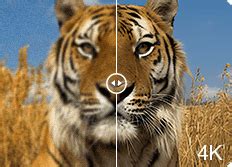 Image result for Audio Stuttering Example