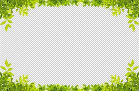 Plant border png PSD, High Quality Free PSD Templates for Download ...