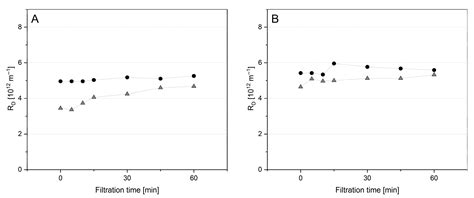 Potential and Challenges of a Targeted Membrane Pre-Fouling: Process ...