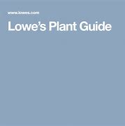 Image result for Lowe's Plant Guide