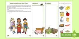 EYFS Where Does Food Come From? PowerPoint (teacher made)