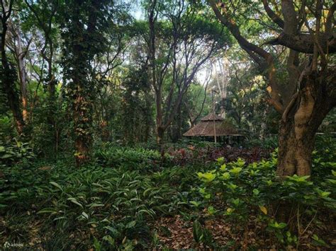 Bangalore: Basavanagudi self guided heritage walk- app-based - Klook India