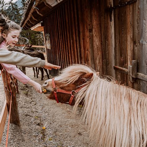 MAMA ULLI'S FAMILY RANCH (2026) All You Need to Know BEFORE You Go ...