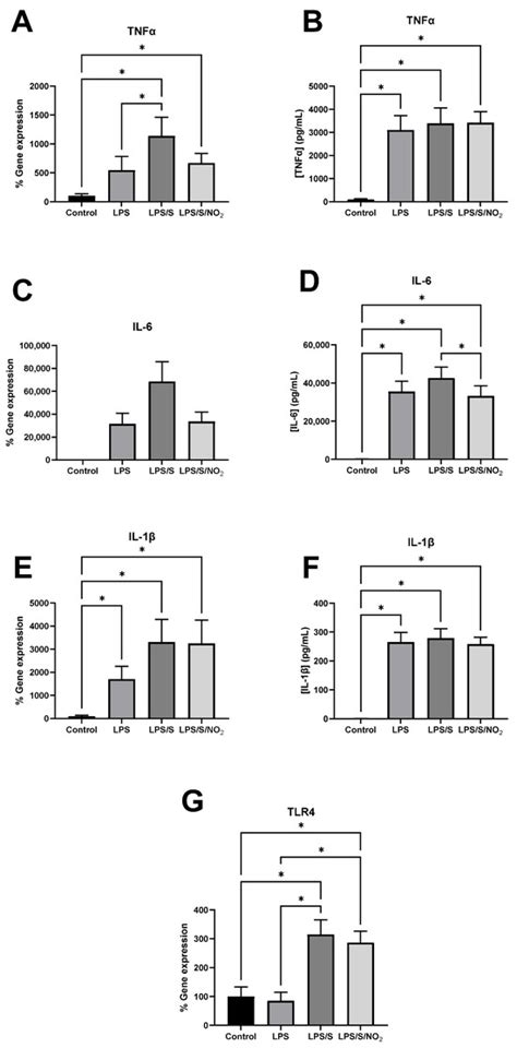 IJMS | Special Issue : Nitric Oxide Biosynthesis Pathway and Nitric ...