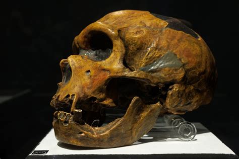 Image result for Sensor Element for Engine Compressor