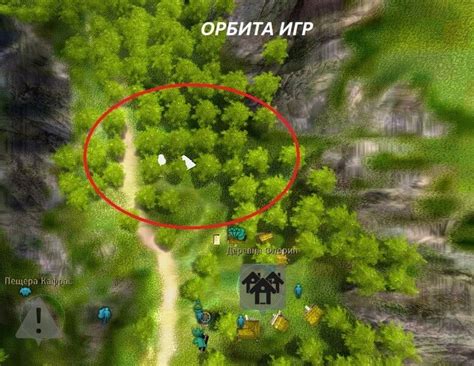 Black desert улей диких пчел где взять