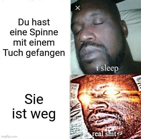 Spinnen-Entdeckung - Memes - Schlechte Witze