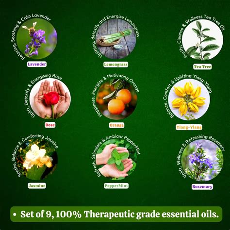 Essential Oil Pack of 9 Lavender, Rose, Tea Tree, Jasmine, Ylang Ylang ...