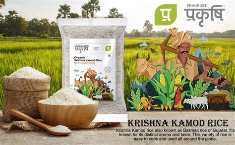 Prakrishi Krishna Kamod Rice (900Gm) (900 Gram) : Amazon.in: Grocery ...