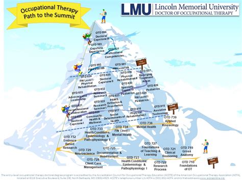 OTD Program Capstone Infographic 的图像结果