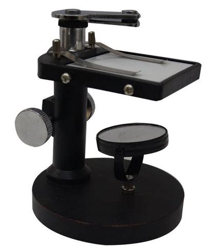 Image result for Using a Dissecting Microscope