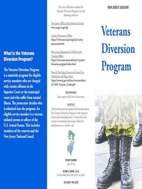 Fillable Online Veteran's Diversion Program Brochure. Veteran's ...
