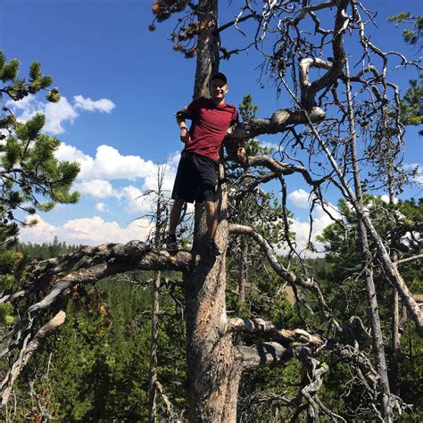 Ranger Creek Camping | Wolf, Wyoming