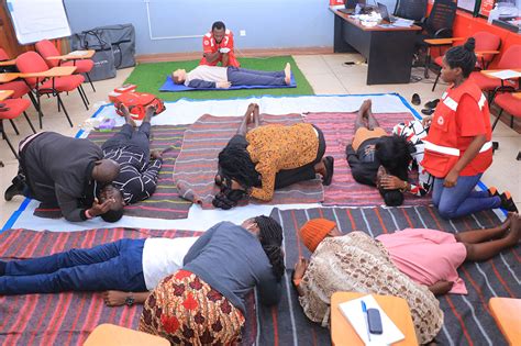 Image result for Red Cross Basic First Aid