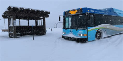 Apply today for the Short-Term Rental Advisory Group and Placer ...