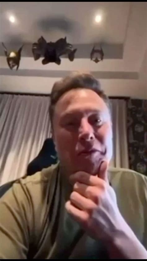 Elon Musk Funny Photos