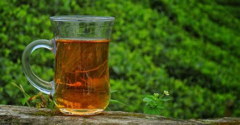 Health Benefits of Caffeine in Darjeeling Tea
