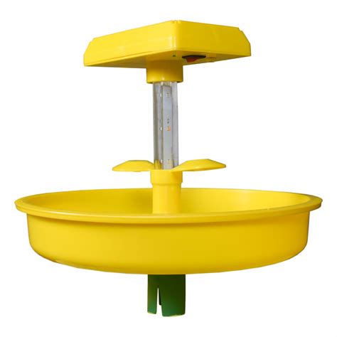 Collections – HEDO