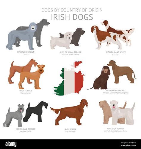 Dogs by country of origin. Irish dog breeds. Shepherds, hunting ...