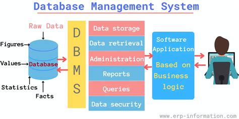 Database Management System Examples 的图像结果