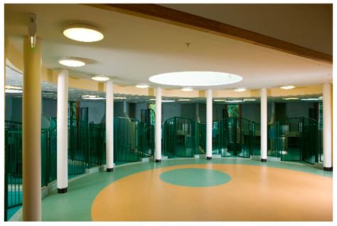 Challenges and Solutions Surrounding Environmental Enrichment for Dogs ...