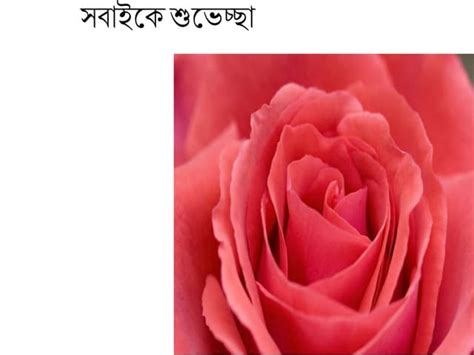 Image result for 5 Class Science Lesson 8