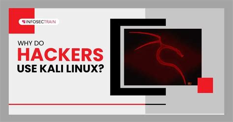Image result for Kali Linux Hacker