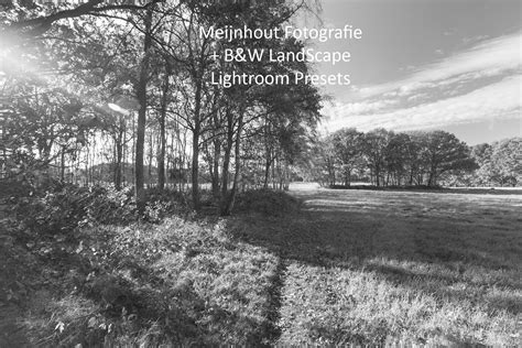 Lightroom Landscape Presets
