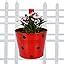 TrustBasket Round Railing Pots with Polka Dots (Pack of 5 ...
