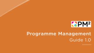 Image result for Programme Management Methods