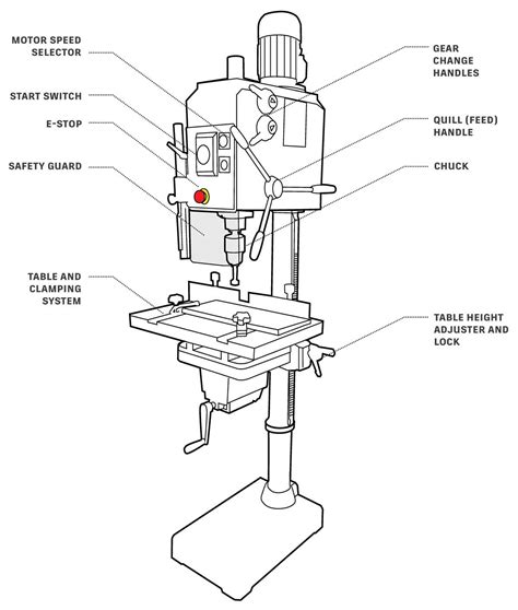The Ultimate Guide to Understanding Drill Press Parts: Diagram and ...