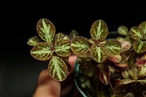 Image result for Humidity Testing Failure