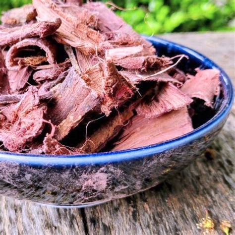 【LIMITED-RARE】Wild Brazilian Mimosa Hostilis Root Bark Incense (Jurema ...